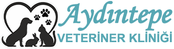 Aydıntepe Veteriner